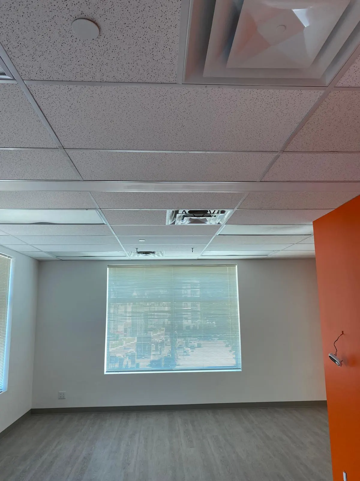 Finished tenant office with an orange accent wall, grey plank flooring, and natural light from a large window